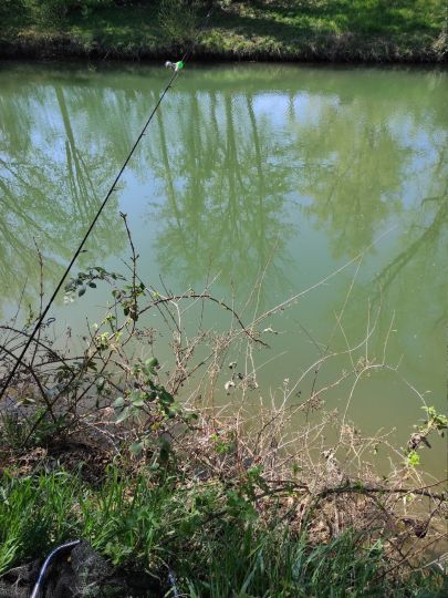 Rems (Waiblingen) angeln