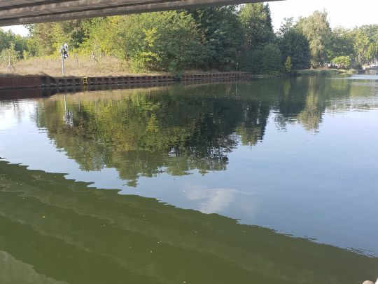 Oder-Havel-Kanal (Marienwerder) angeln