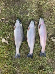 Maxlweiher (Bad Tölz)-2