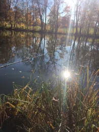 Maxlweiher (Bad Tölz)-1