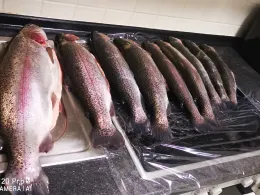 Stausee Obersteinebach