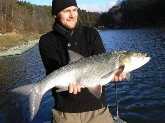 Stausee Obersteinebach-3