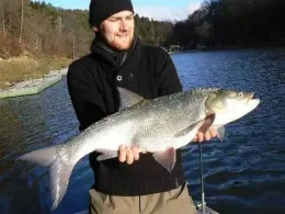 Stausee Obersteinebach-3