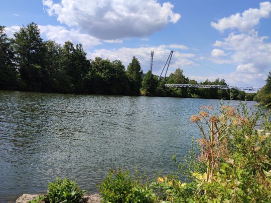 Main-Donau-Kanal (Forchheim) angeln