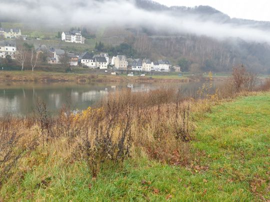 Angeln in Merschbach