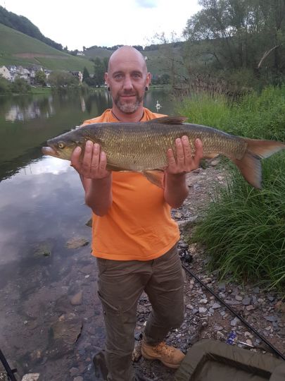 Mosel (Enkirch)-3