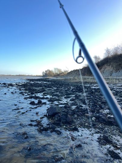 Flensburger Förde (Ohrfeldhaff)-4