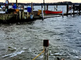 Flensburger Förde (Ohrfeldhaff)