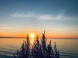 Flensburger Förde (Ohrfeldhaff)-1