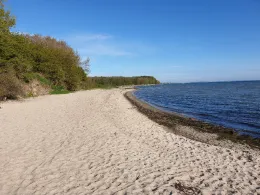 Flensburger Förde (Ohrfeldhaff)-3