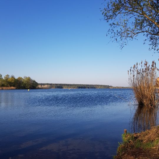 Niegripper See