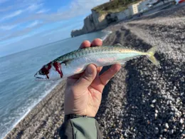 Ärmelkanal (Étretat)