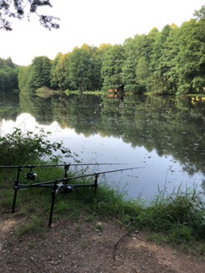 Zechteich (Marienweiher)-1