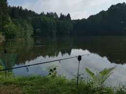 Zechteich (Marienweiher)-4