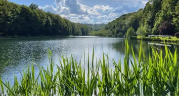 Binsenthal-Weiher-4