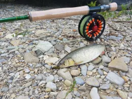 Küstenkanal (Kampe)