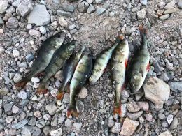 Lac de Kruth-Wildenstein-2