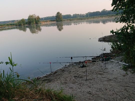 Maasdorfer Teiche ALLE ANGELN