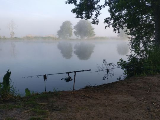 Maasdorfer Teiche ALLE ANGELN