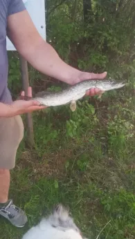 Sandfeldsee (Bredelem)