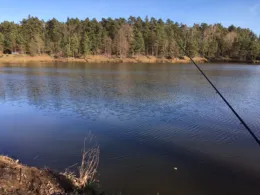 Angelweiher Lösmühle