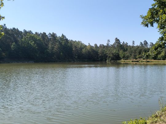 Angelweiher Lösmühle-3