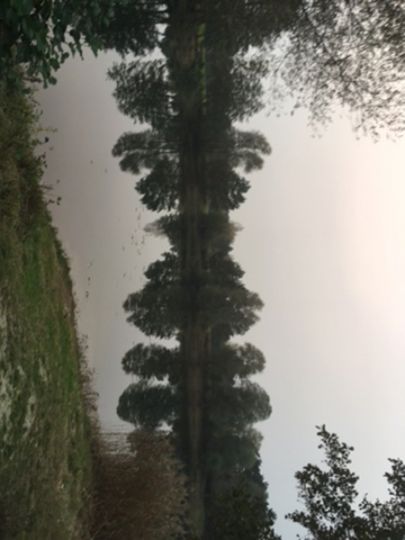 Bokensdorfer Teich-1