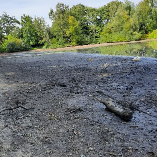 Rückhaltebecken Raakmoorgraben-2