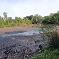 Rückhaltebecken Raakmoorgraben-4