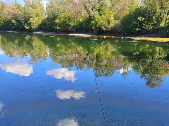 Bergheimer Weiher (Göggingen)-3