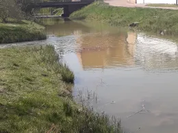 Goldberger See (Delrath)