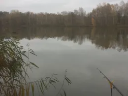 Teichanlage 2 (ASV Bergen)