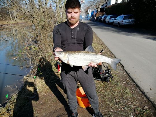 Main (Kelsterbach)-2