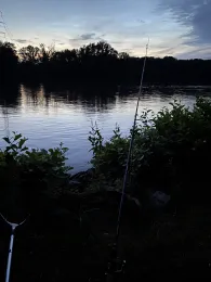 Main (Kelsterbach)-1