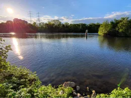 Main (Kelsterbach)-4