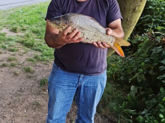 Main (Kelsterbach)-3