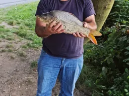 Main (Kelsterbach)-3