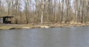 Altrheinsee (Illingen)