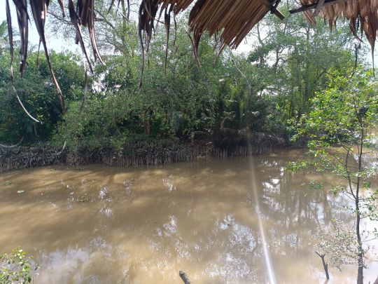 Sông Bến Tre (Bến Tre)