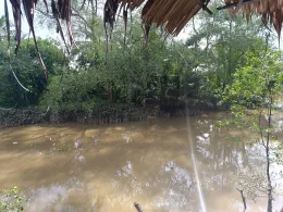 Sông Bến Tre (Bến Tre)