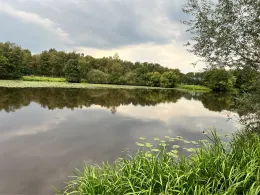 Haaren Rückhaltebecken (Bad Zwischenahn)-2