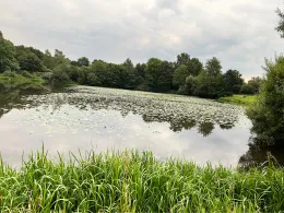 Haaren Rückhaltebecken (Bad Zwischenahn)