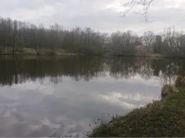 Brunausee (Bispingen)-3