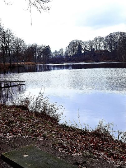 Brunausee (Bispingen)-4