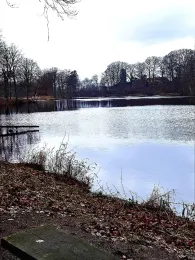 Brunausee (Bispingen)-4