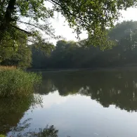 Brunausee (Bispingen)-2