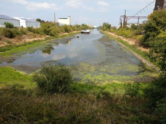 Industriehafen Magdeburg