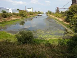 Industriehafen Magdeburg