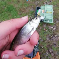 Karthane-See (Wittenberge)-1