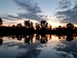 Plauer See (Brandenburg/Havel)-1